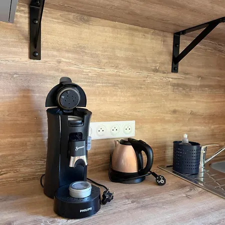 Modernes Avec Terrasse Et Ruisseau Au Pied Des Volcans D Auvergne